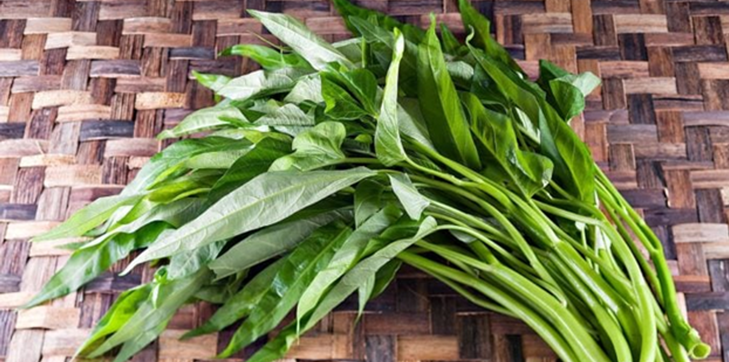 Ragam Khasiat Tanaman Kangkung Bagi Tubuh, Salah Satunya Menjaga Kesehatan Mata Ragam Khasiat Tanaman Kangkung Bagi Tubuh, Salah Satunya Menjaga Kesehatan Mata